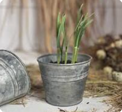 Indoor Plant Pot